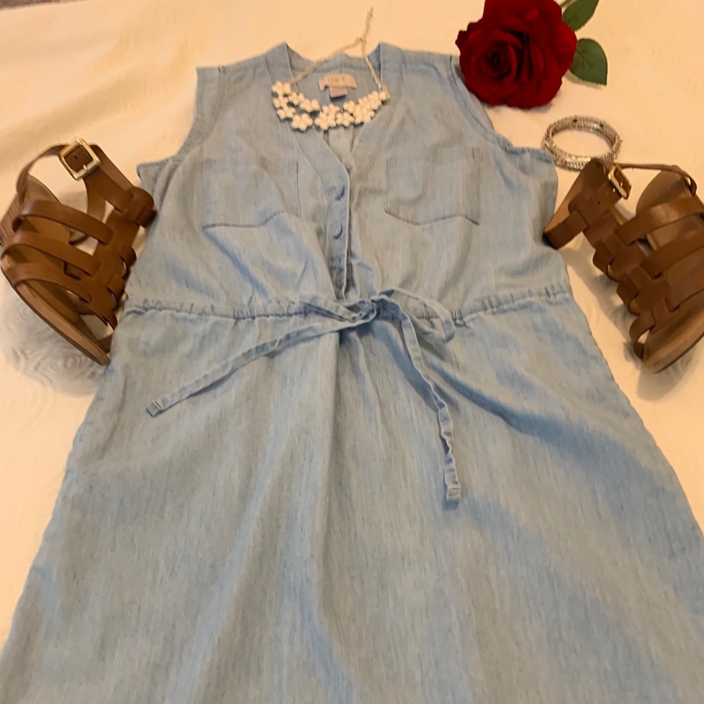 Loft Cotton Dress
